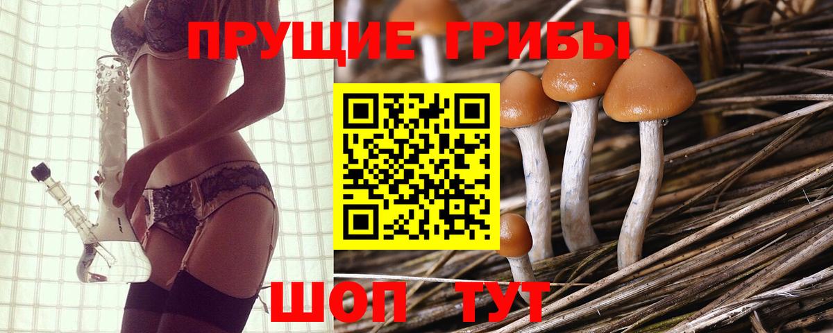 Ленинск-Кузнецкий  Галлюциногенные грибы GOLDEN TEACHER  Вход с VPN 